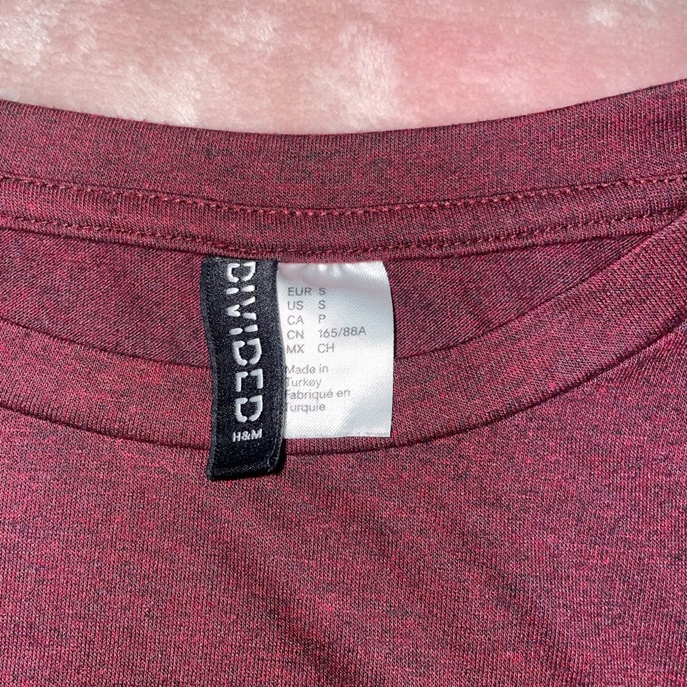 H & M Divider collection maroon crop top